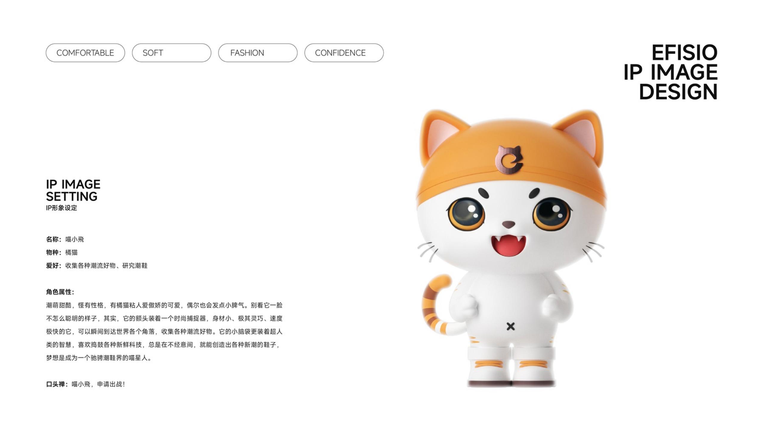 鞋帽品牌全案策劃-時(shí)尚單品品牌vi設計