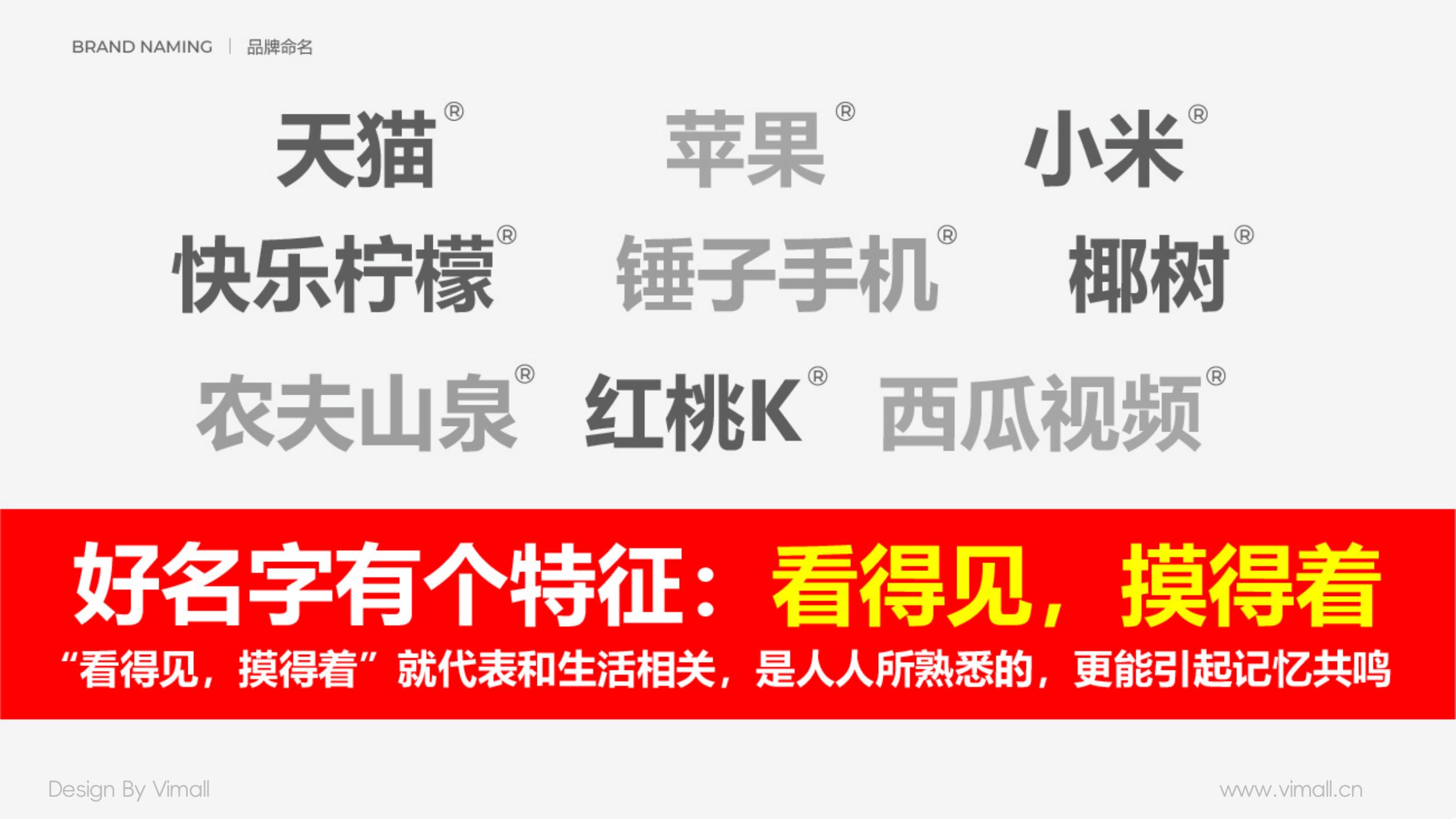 男士護膚品牌全案策劃設計-營(yíng)養品包裝設計-西柚公式