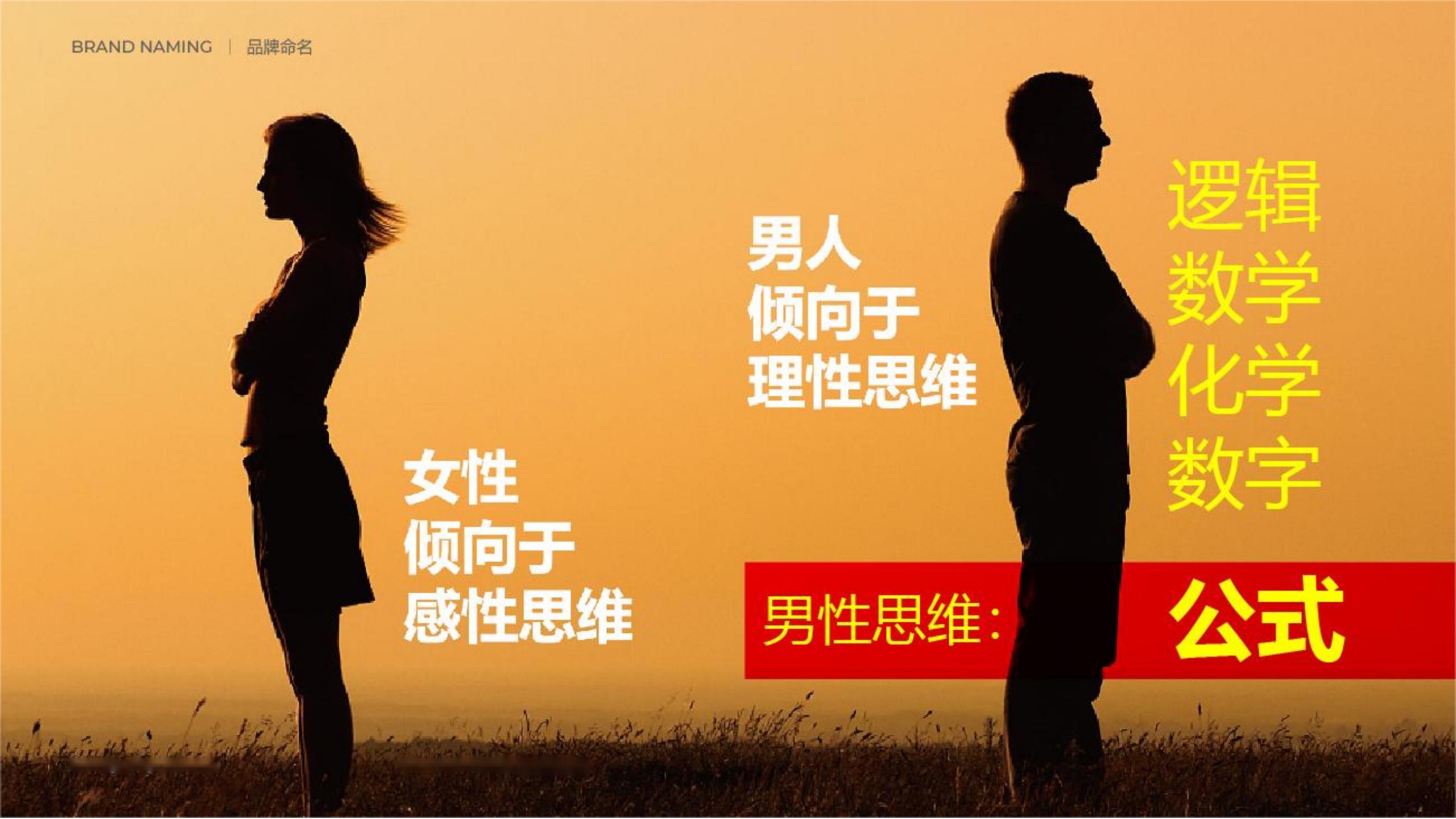男士護膚品牌全案策劃設計-營(yíng)養品包裝設計-西柚公式