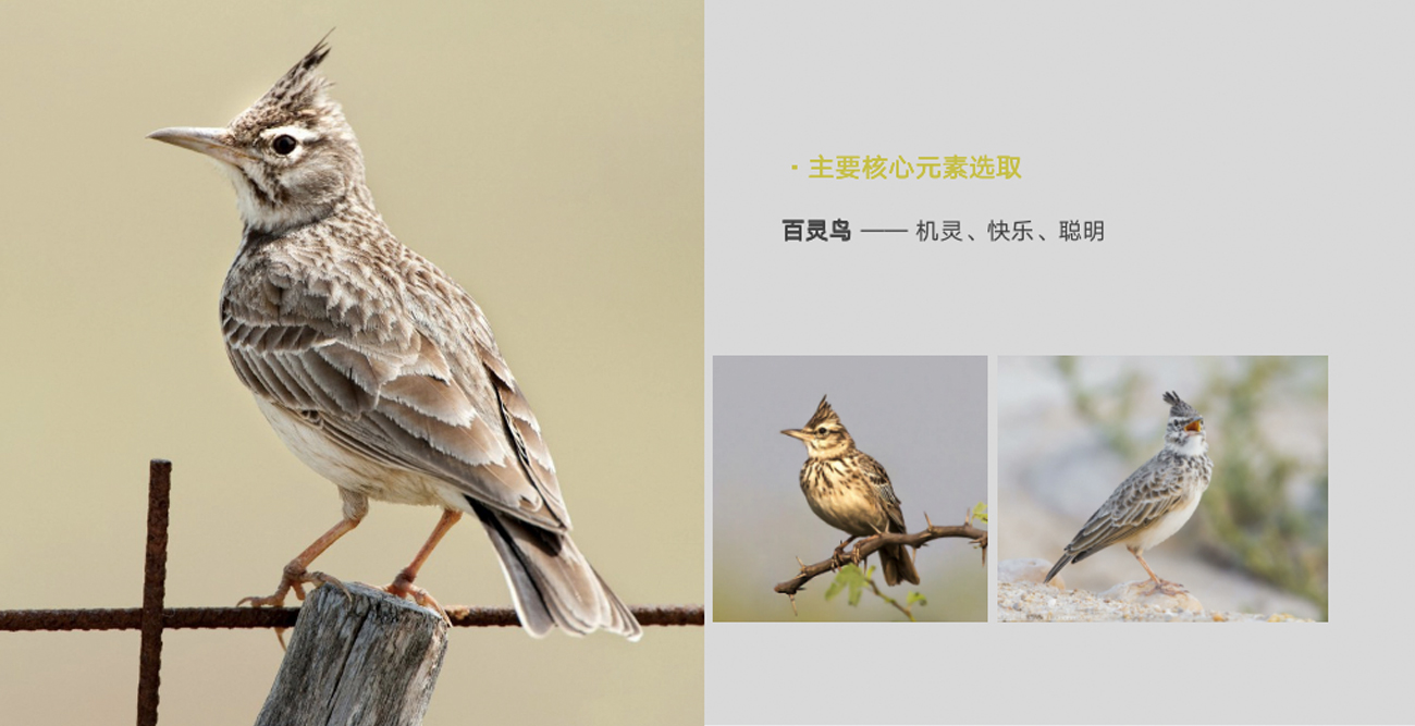 拖把品牌策劃設計-品牌命名-logo/vi設計-蘇州木鳥(niǎo)家居