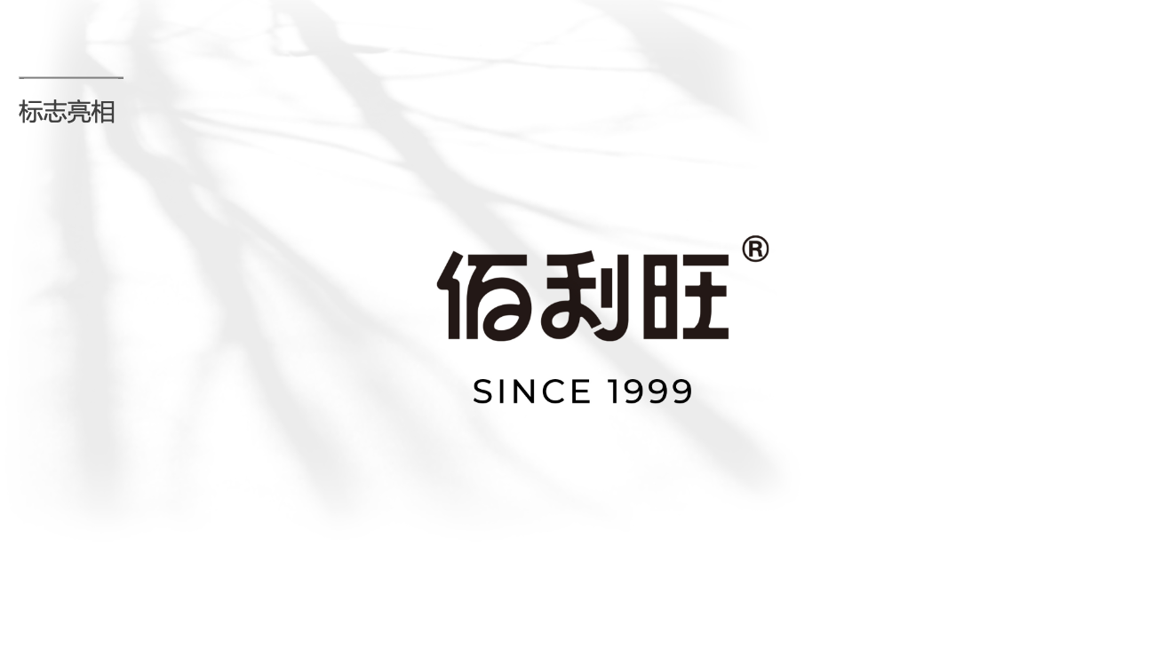 鹵味食品包裝設計-logo/vi設計-蘇州佰利旺